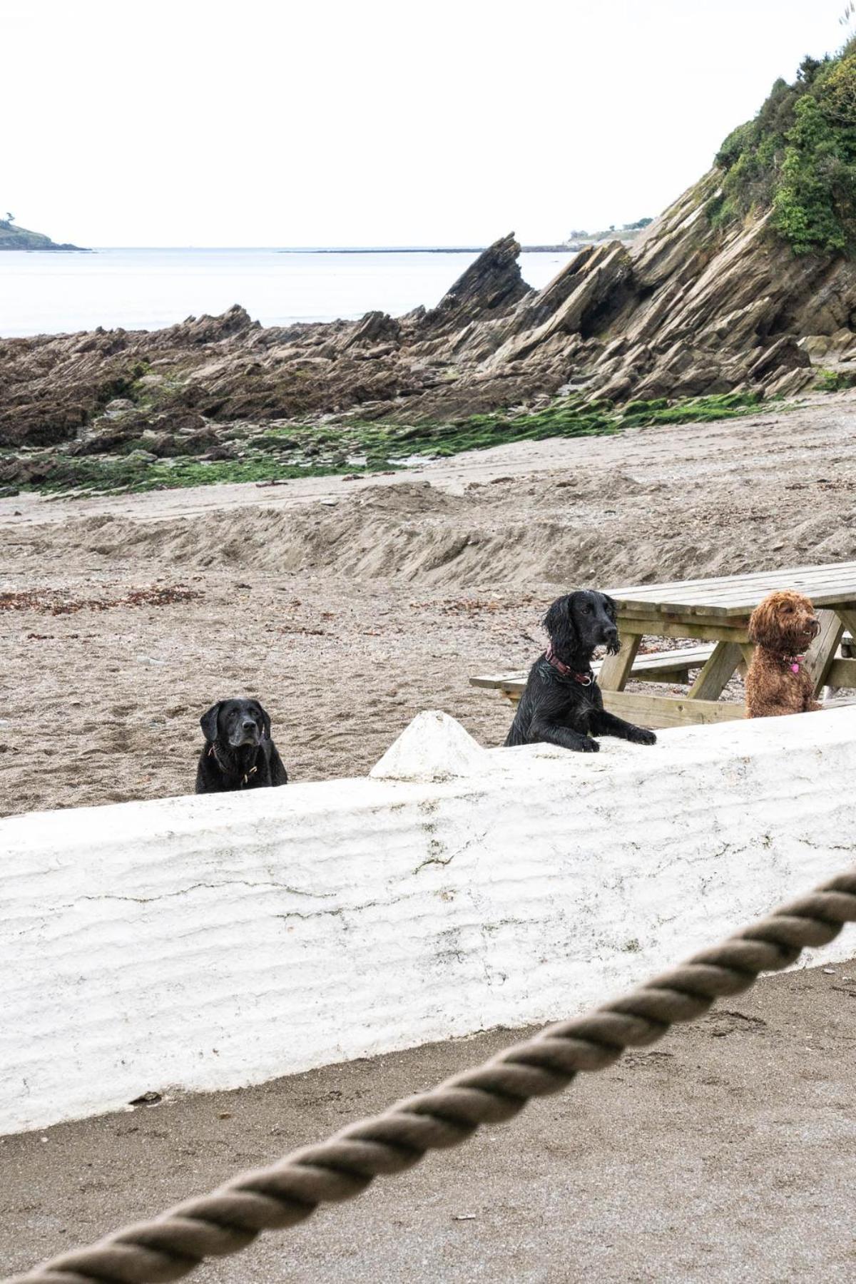Pet Friendly Sea View Millendreath * Looe