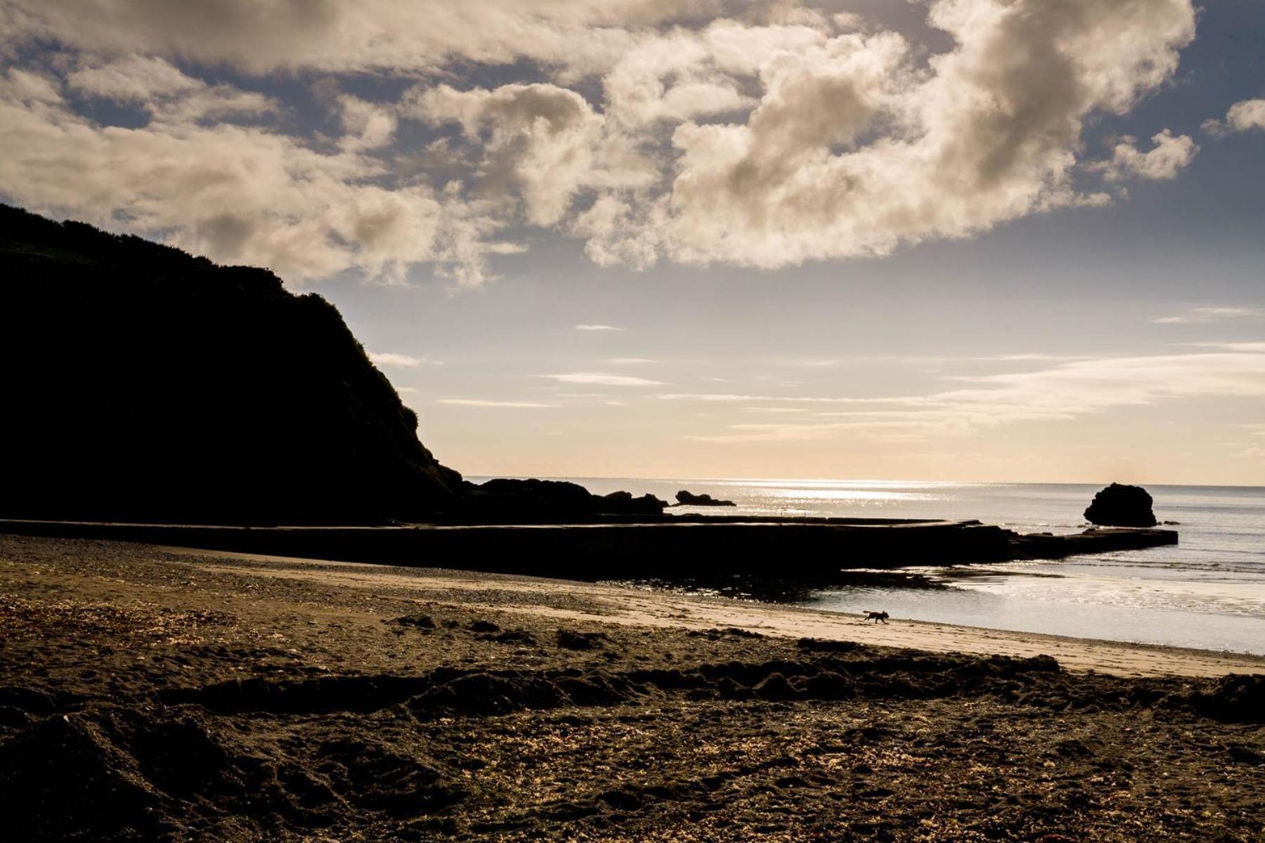 Pet Friendly Sea View Millendreath Apartment *