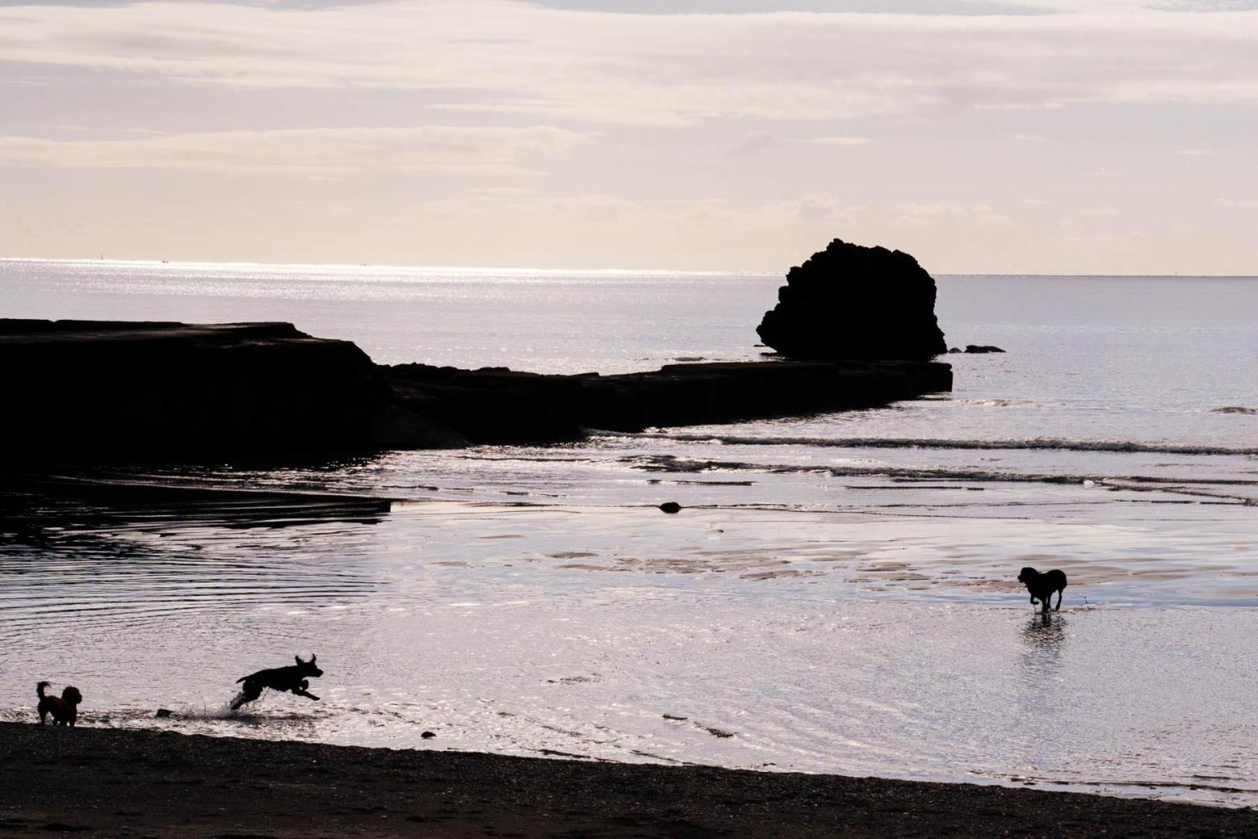 Pet Friendly Sea View Millendreath Looe